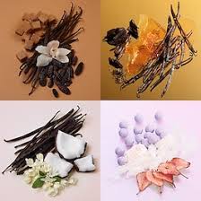 Kayali Vanilla Miniature Obsessions 4 x 10 ml – Vanilla EDP Mini Set