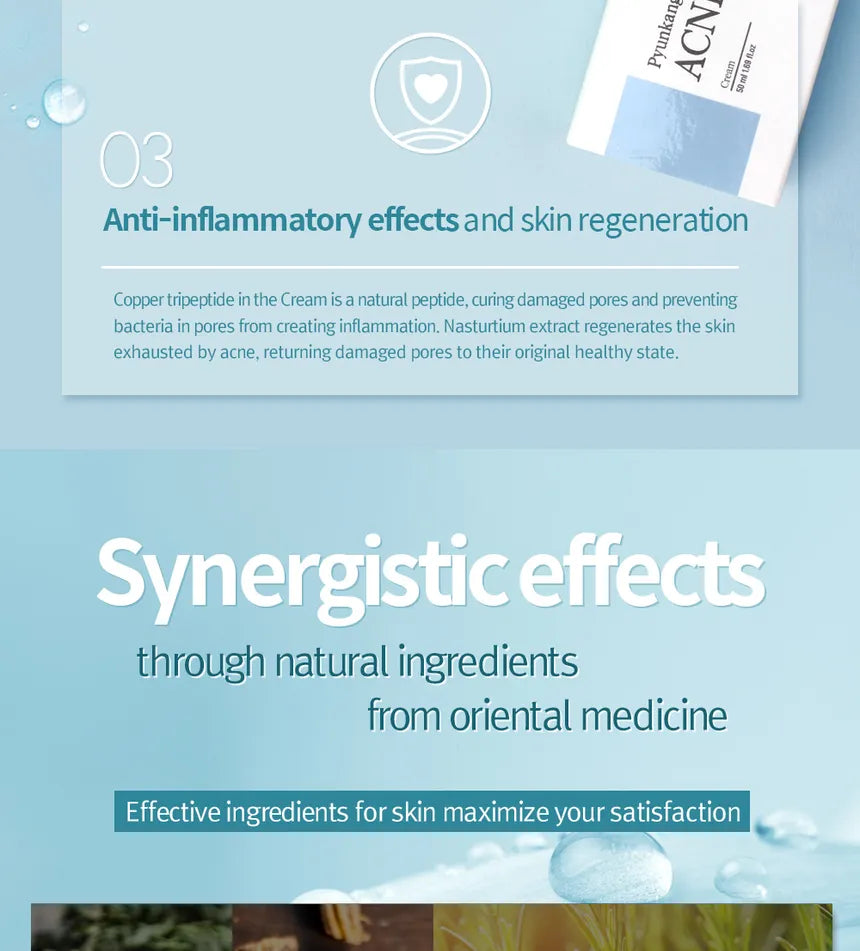 Pyunkang Yul - Acne Cream 50ml